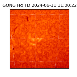 gong - 2024-06-11T11:00:22