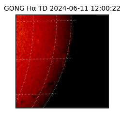 gong - 2024-06-11T12:00:22