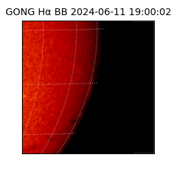 gong - 2024-06-11T19:00:02