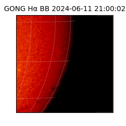 gong - 2024-06-11T21:00:02