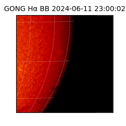gong - 2024-06-11T23:00:02