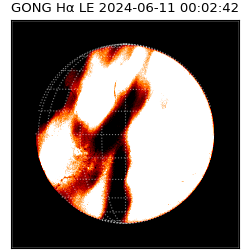 gong - 2024-06-11T00:02:42