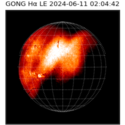 gong - 2024-06-11T02:04:42