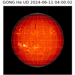 gong - 2024-06-11T04:00:02