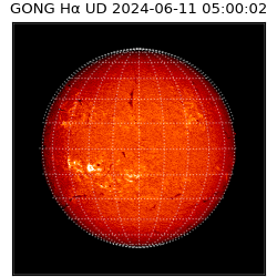 gong - 2024-06-11T05:00:02