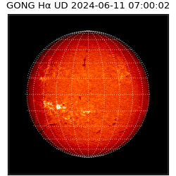 gong - 2024-06-11T07:00:02