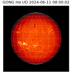 gong - 2024-06-11T08:00:02