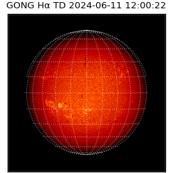 gong - 2024-06-11T12:00:22