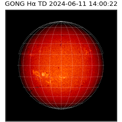 gong - 2024-06-11T14:00:22