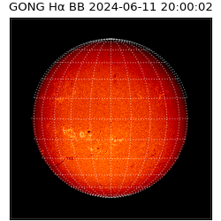 gong - 2024-06-11T20:00:02