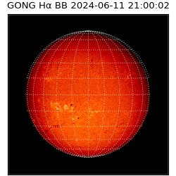 gong - 2024-06-11T21:00:02