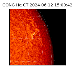 gong - 2024-06-12T15:00:42