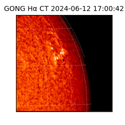 gong - 2024-06-12T17:00:42