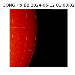 gong - 2024-06-12T01:00:02