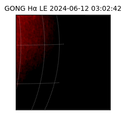 gong - 2024-06-12T03:02:42