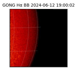 gong - 2024-06-12T19:00:02