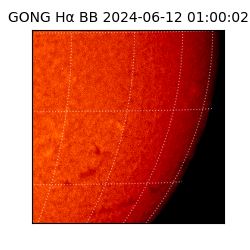 gong - 2024-06-12T01:00:02