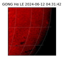 gong - 2024-06-12T04:31:42