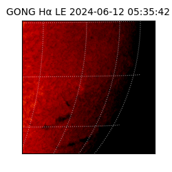 gong - 2024-06-12T05:35:42