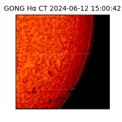 gong - 2024-06-12T15:00:42