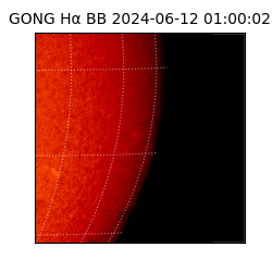 gong - 2024-06-12T01:00:02