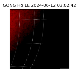 gong - 2024-06-12T03:02:42