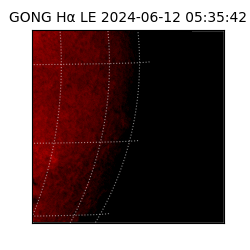 gong - 2024-06-12T05:35:42