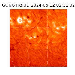 gong - 2024-06-12T02:11:02