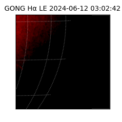 gong - 2024-06-12T03:02:42