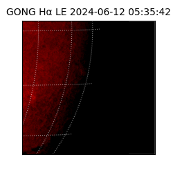 gong - 2024-06-12T05:35:42