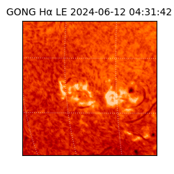 gong - 2024-06-12T04:31:42