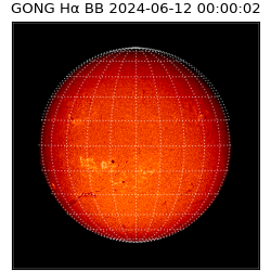 gong - 2024-06-12T00:00:02