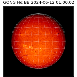 gong - 2024-06-12T01:00:02