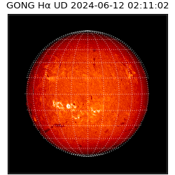 gong - 2024-06-12T02:11:02