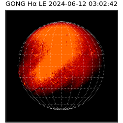 gong - 2024-06-12T03:02:42