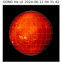 gong - 2024-06-12T04:31:42