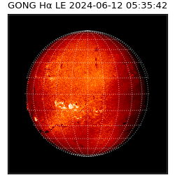 gong - 2024-06-12T05:35:42