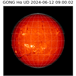 gong - 2024-06-12T09:00:02