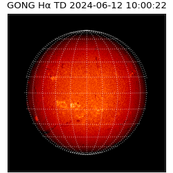 gong - 2024-06-12T10:00:22