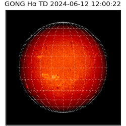 gong - 2024-06-12T12:00:22