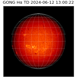 gong - 2024-06-12T13:00:22