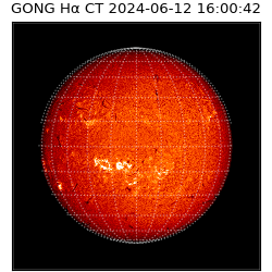 gong - 2024-06-12T16:00:42