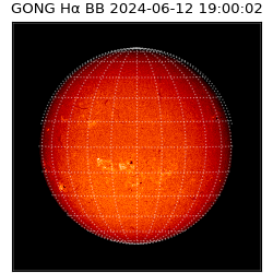 gong - 2024-06-12T19:00:02