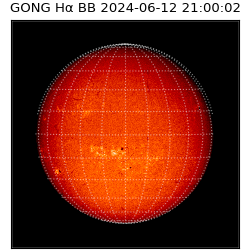 gong - 2024-06-12T21:00:02