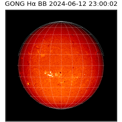 gong - 2024-06-12T23:00:02