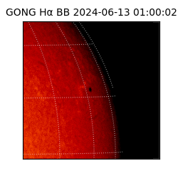 gong - 2024-06-13T01:00:02