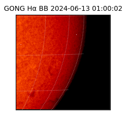 gong - 2024-06-13T01:00:02