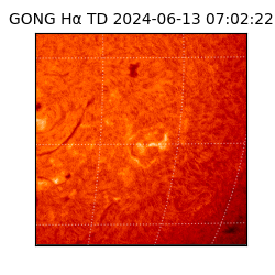 gong - 2024-06-13T07:02:22