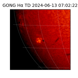 gong - 2024-06-13T07:02:22