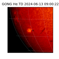 gong - 2024-06-13T09:00:22